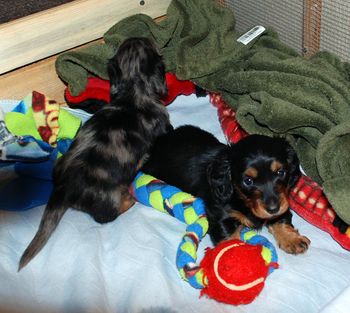 They are both doing great.
