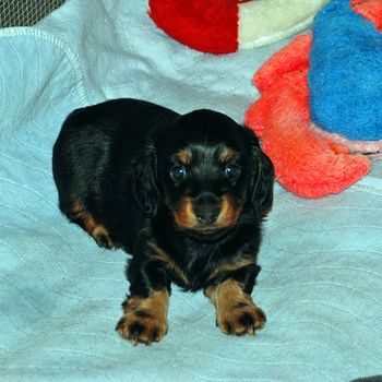 Almost 4 weeks old already.
