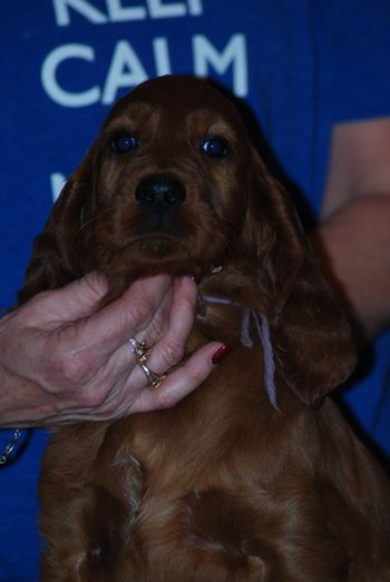 Purple girl at 7 weeks.
