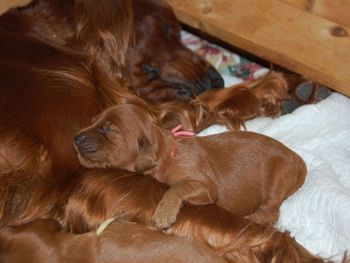 This was so cute - mom & baby both sound asleep.
