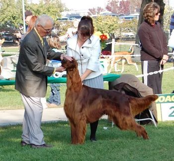 Crosby being shown Nov. 2008.
