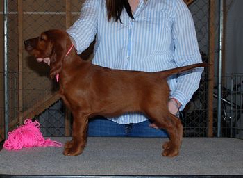 8 wks Pink Girl
