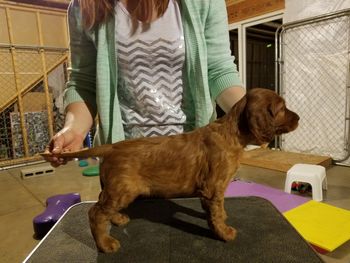 Purple girl at 5 weeks.
