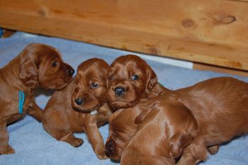 Just look at those precious faces.
