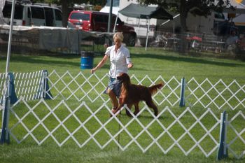 Keefer in the ring. Aug 2013

