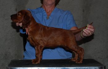 Peach girl 6 wks
