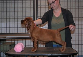 Pink girl at 7.5 weeks old.
