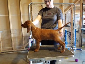 Orange girl at 8 weeks.
