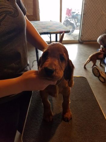 Pink girl at 8 weeks.
