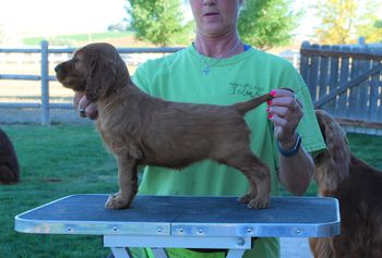 Pink girl at 5 weeks old.
