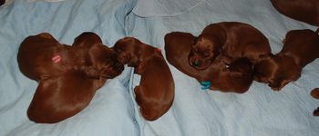12 days old already.
