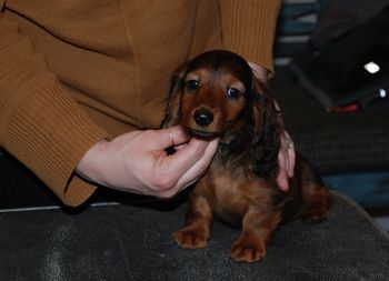 Black boy at 8.5 weeks.
