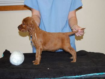White girl at 6 weeks.
