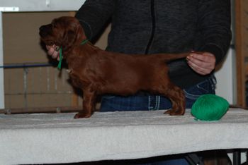 Green boy at 5 weeks.
