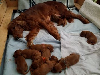 3 days old.
