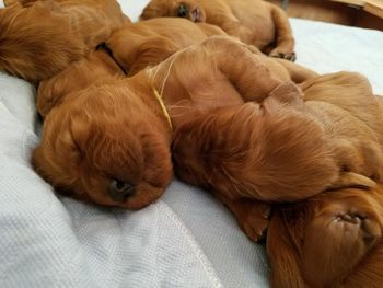 Sleeping machines!
