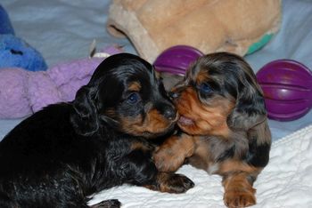 24 days old now...growing fast!
