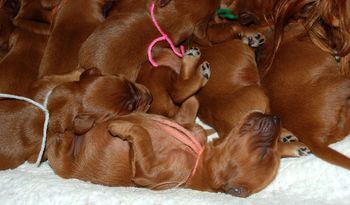 Pretty comfortable!! :)
