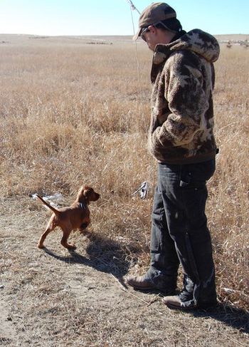 Ben Garcia of Hideaway Kennels helped us to evaluate the litter for field potential.
