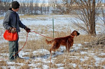 Journey at her field training evaluation with Trainer Ben Garcia of Hideaway Kennels.
