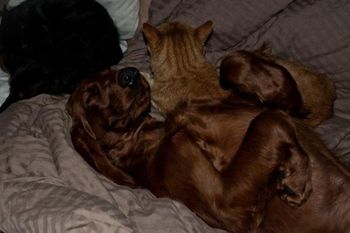 Awwww....
