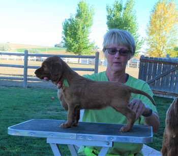 Lime green girl at 5 weeks old.
