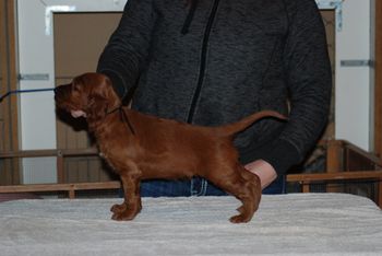 Black boy at 5 weeks.
