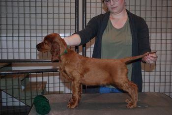 Green boy at 7.5 weeks old.

