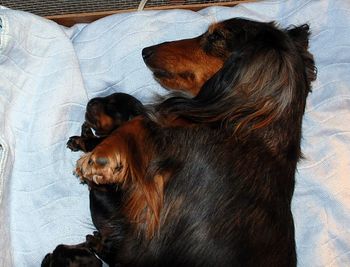Awww....so cute!
