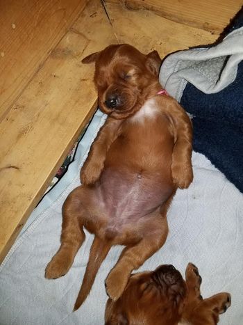 This can't be comfortable!
