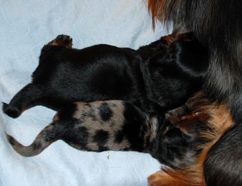 They both LOVE to eat!
