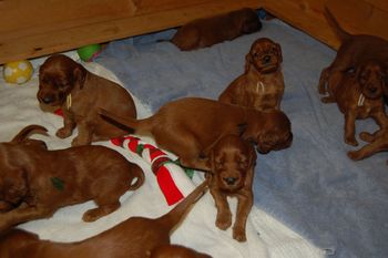They are awake for much longer periods now.
