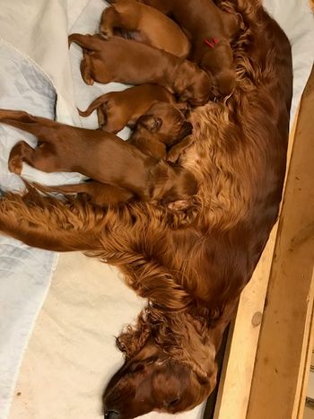 PJ is such a great mom.
