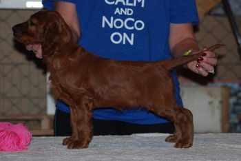 Pink girl at 7 weeks.
