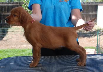 6 wks Pink Girl stack
