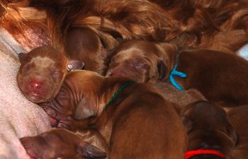So cute when they cuddle!
