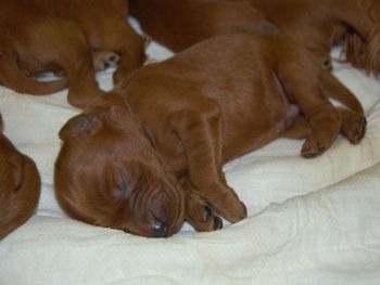 5 days old.
