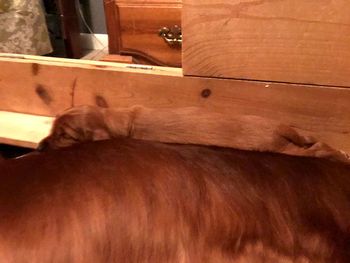 Best seat in the house.
