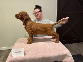 Brown boy at 7 weeks old.
