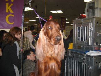 Bagger at Westminster 2007.
