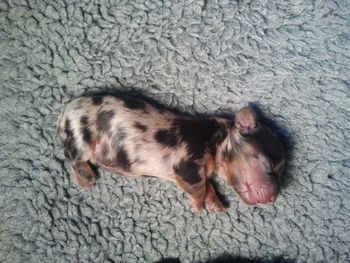 Awww...so cute!
