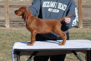 Red boy at 8 wks.

