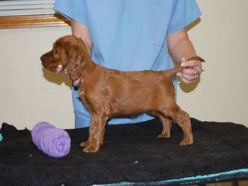 Purple girl at 6 weeks.
