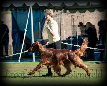 Keefer in the ring in Scottsdale, Arizona.  Thanks Tina for the picture! March 2014
