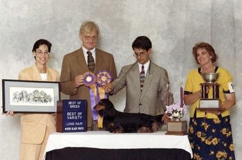 "Tommy" MBISS Ch. Wagsmore's Captivating ML ROMX (BISS Ch. Sleepytime's Franchise ML ROMX x Ch. Wagsmore's Extravaganza MLD
