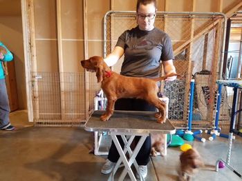 Red boy at 8 weeks.
