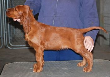 Keefer stacked at 8 weeks.

