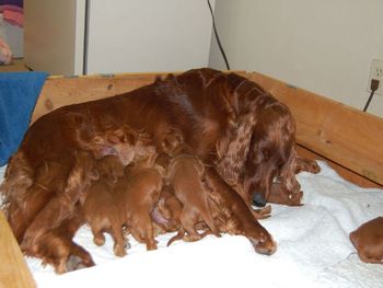 Just look how much bigger they are when compared to the first day!
