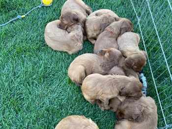 First day outside
