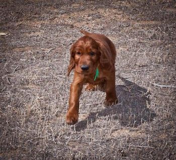 He had great reach even at 5 weeks old! lol
